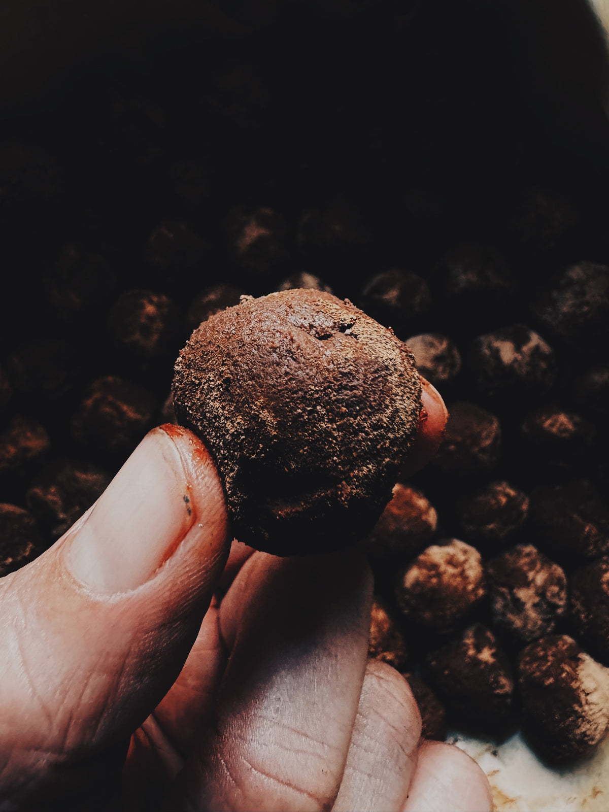 Mamamuti Cacao and Orange Truffles