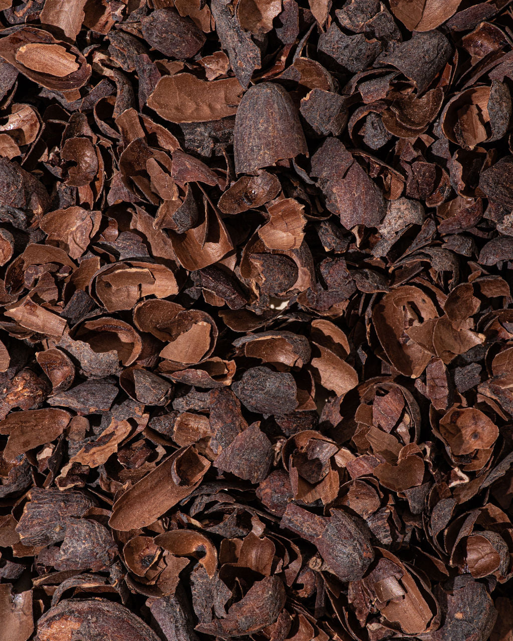 Pacific Pure Cacao Husk Tea 100g