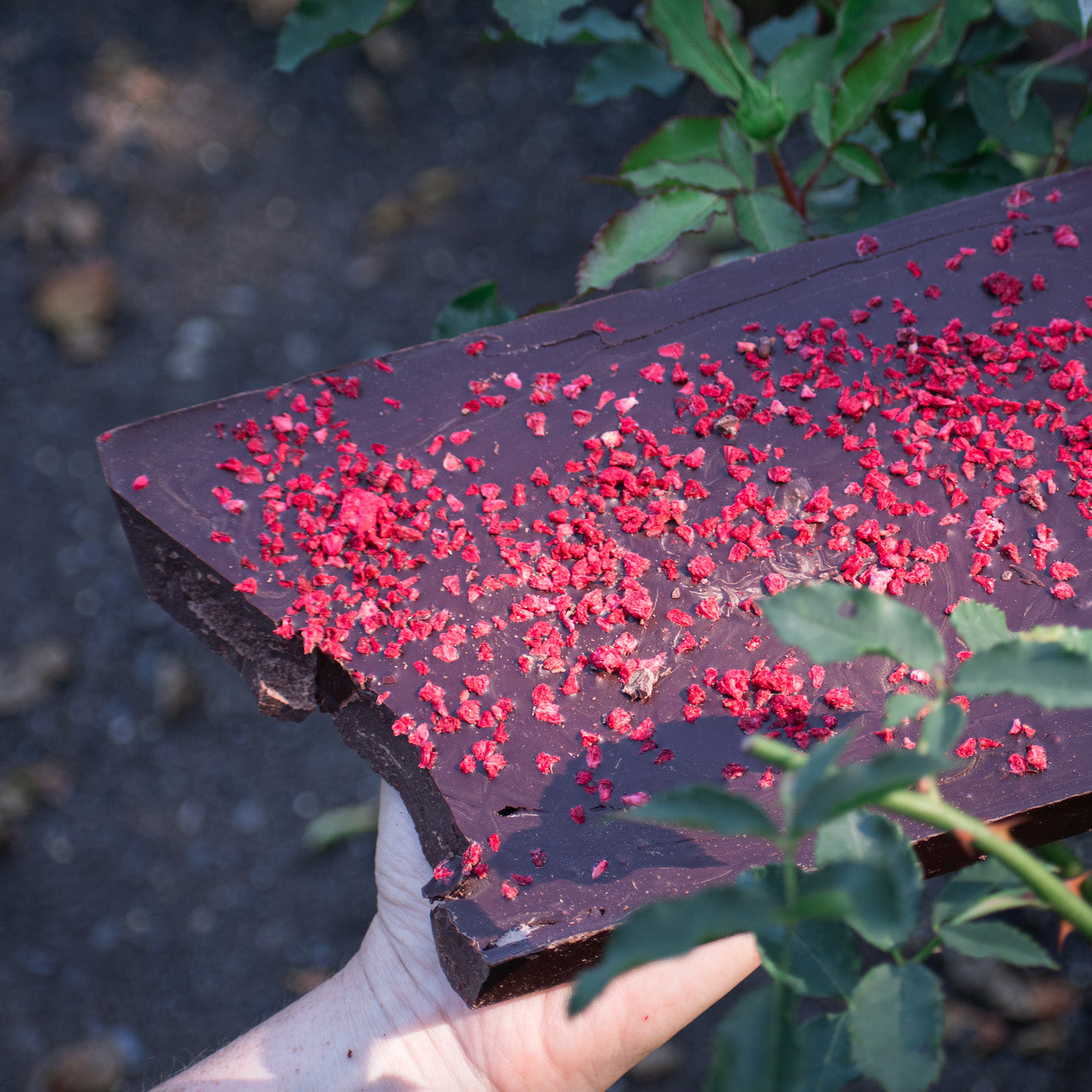 Feminine Wāhine Cacao Blend - 900g
